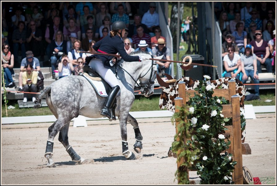 Pferd International 073